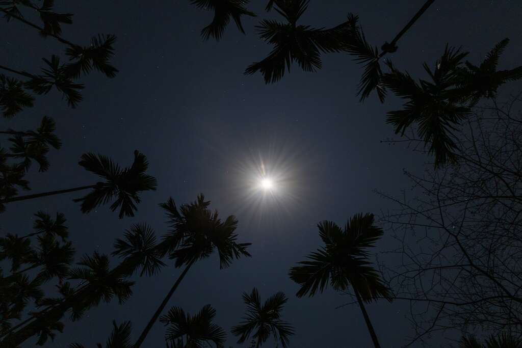 伍龍步道明月