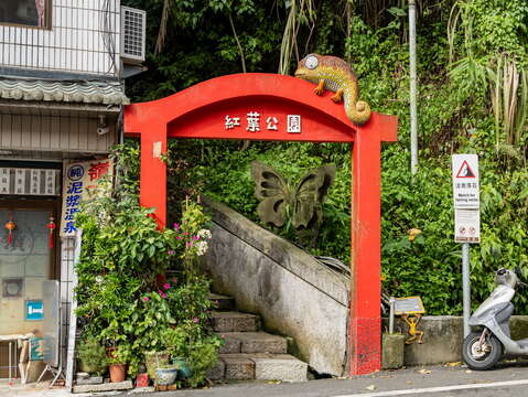 红叶公园-滑蜥兄弟
