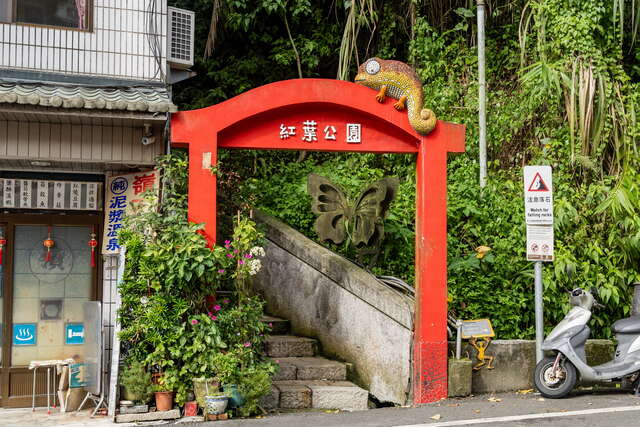 滑蜥兄弟