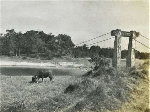 1938年建造的第一代吊橋為鐵線橋，樣式極為簡陋