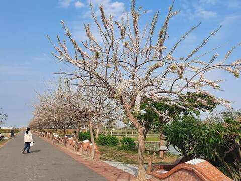 鹽水詩路(臺南市政府觀光旅遊局提供)