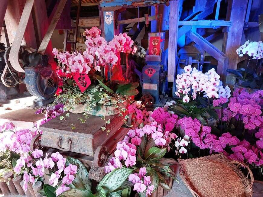 义昌碾米厂_兰花布置