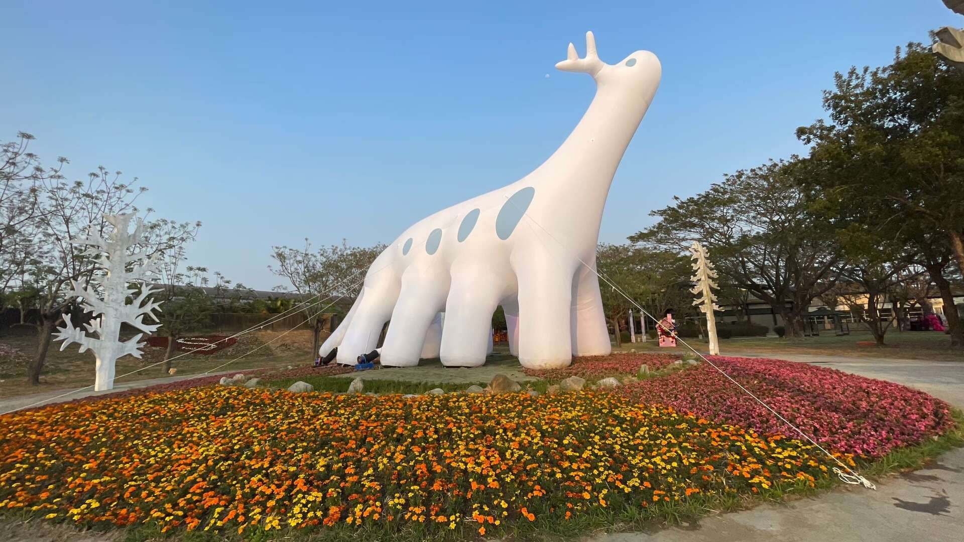 臺灣國際蘭展(歷史照片)
