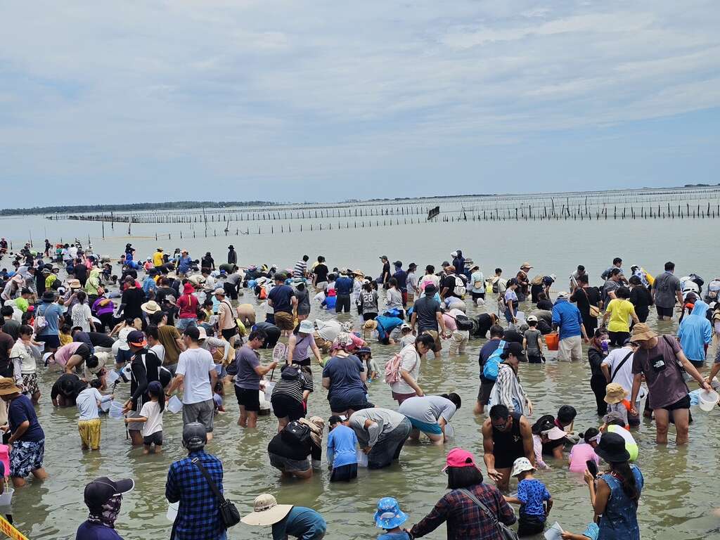 2025臺南七股海鮮節」熱鬧開幕 2千人齊聚六孔碼頭同歡 因丹娜斯颱風影響 明(6)日七股海鮮節挖文蛤活動取消 敬請見諒