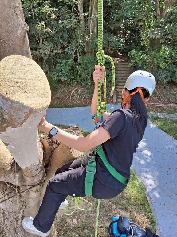 虎頭埤爸氣登場 推出父親節與爸樹上有約快閃活動