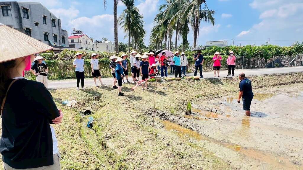台南雙層巴士盲盒旅遊秋季主題登場 深入鄉村田野體驗秋收美景與節氣風味