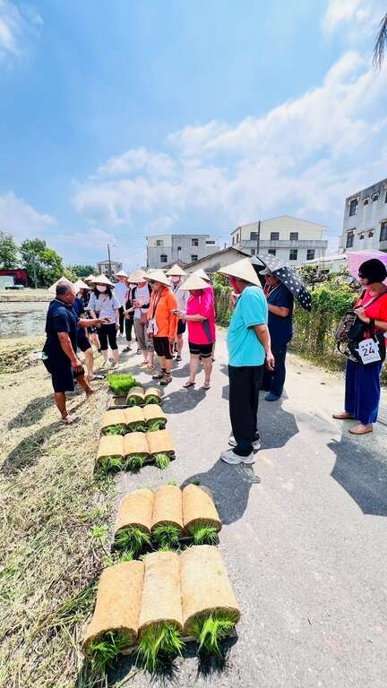 台南雙層巴士盲盒旅遊秋季主題登場 深入鄉村田野體驗秋收美景與節氣風味