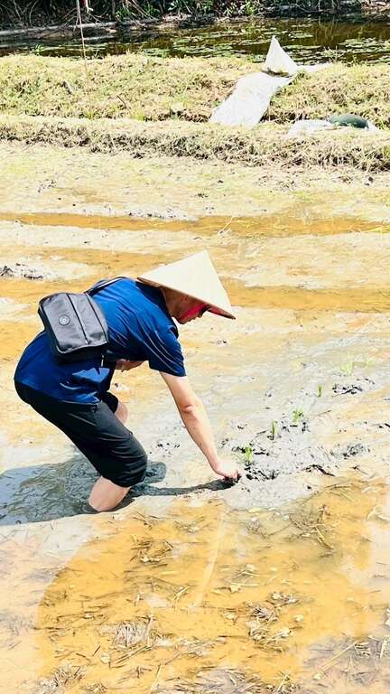 台南雙層巴士盲盒旅遊秋季主題登場 深入鄉村田野體驗秋收美景與節氣風味