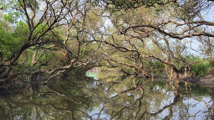 臺南濱海各景點陸續完成修復 精彩活動接續登場 觀旅局邀請全國各地的民眾來臺南遊玩