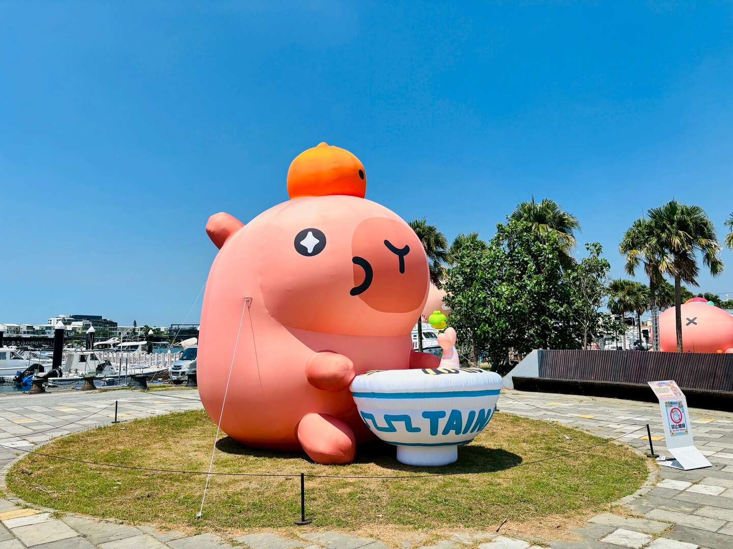 05-2025卡比胖拉出沒注意-滿福擔仔_0