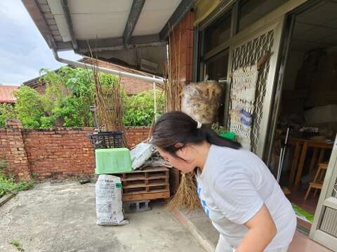 陈怡君整理社区体验活动用的高梁。(郑佩雯拍摄)