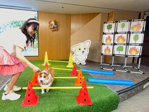 记者会现场活动