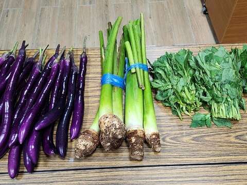 阿美族以野菜文化闻名,也把麴用在腌渍、保存食材。(丮硠‧玛那提供)