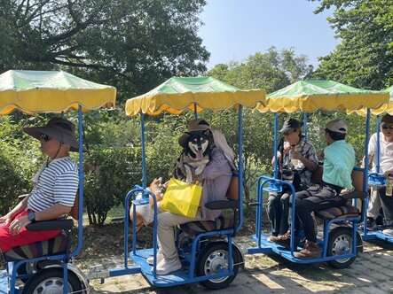 2025虎頭埤水與綠萌寶戲水節 親子毛孩樂不思蜀