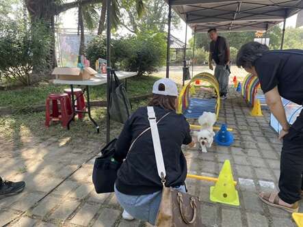 2025虎頭埤水與綠萌寶戲水節 親子毛孩樂不思蜀