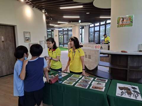 「虫新认识你」环教闯关活动