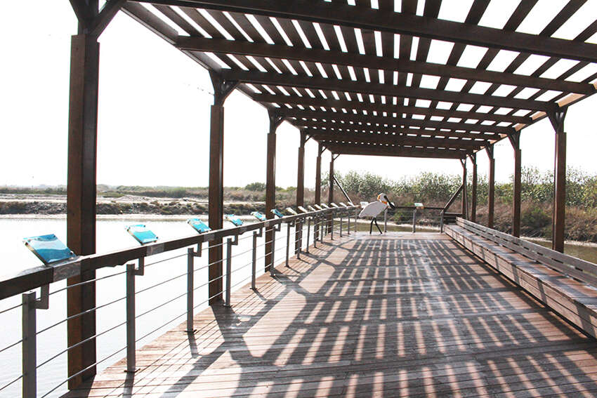 黑面琵鷺生態保護區__黑面琵鷺生態展示館