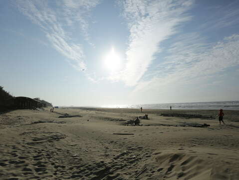 双春滨海游憩区海滩