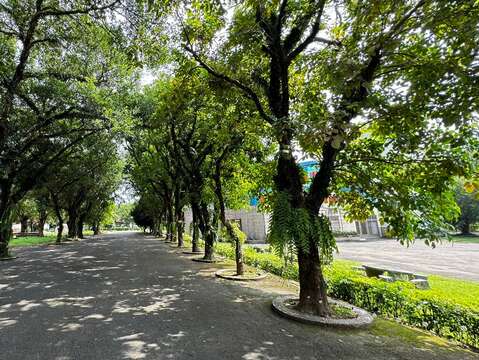 曾文青年活动中心