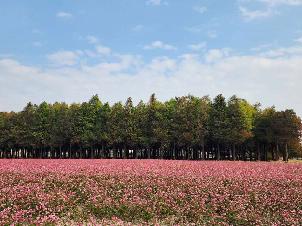 「2026臺南行春網站」一站掌握逾百項活動與吃喝玩樂  黃偉哲市長邀請全國民眾新春遊臺南 金馬伍吉好運到