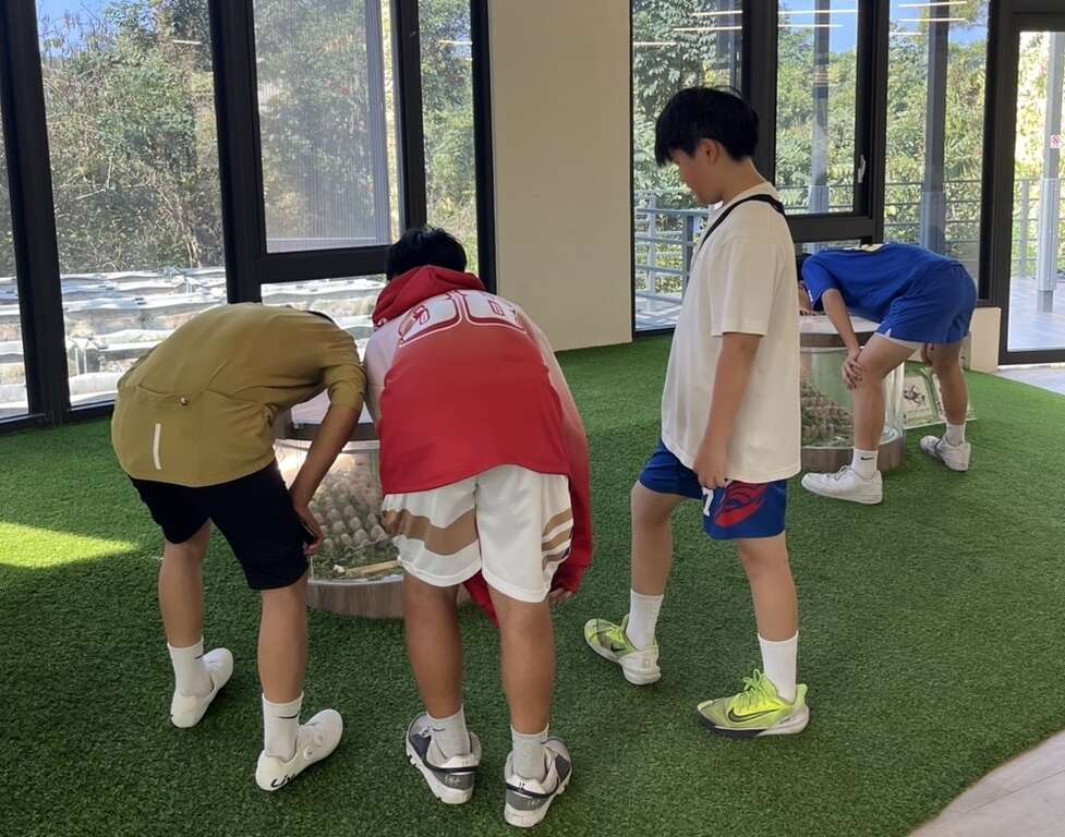 馬年迎春出遊臺南，連假首日湧人潮