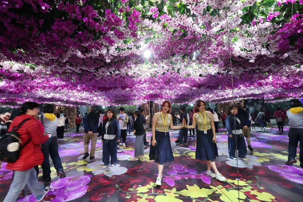 2026台南蘭展白天賞花、晚上逛燈會，優惠店家資訊一次掌握