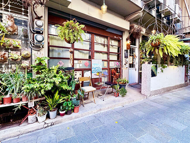 《魚頭君帶路》 花草迷 療癒之旅：探尋綠意間的風與光