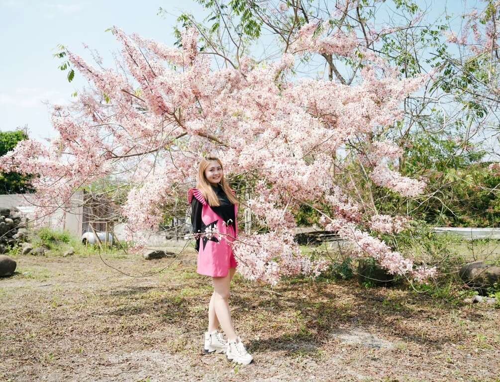 2026螢光花泉季 漫遊之旅3月31日搶先開放報名  春遊臺南正當時 走進楠西賞花泡湯感受幸福氛圍