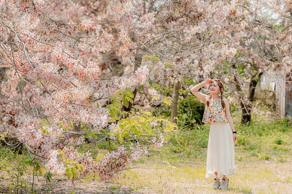 「2026螢光花泉季」今(11)日熱鬧開幕 點亮臺南山城春季觀光 賞螢、泡湯、聽音樂、逛市集一次滿足