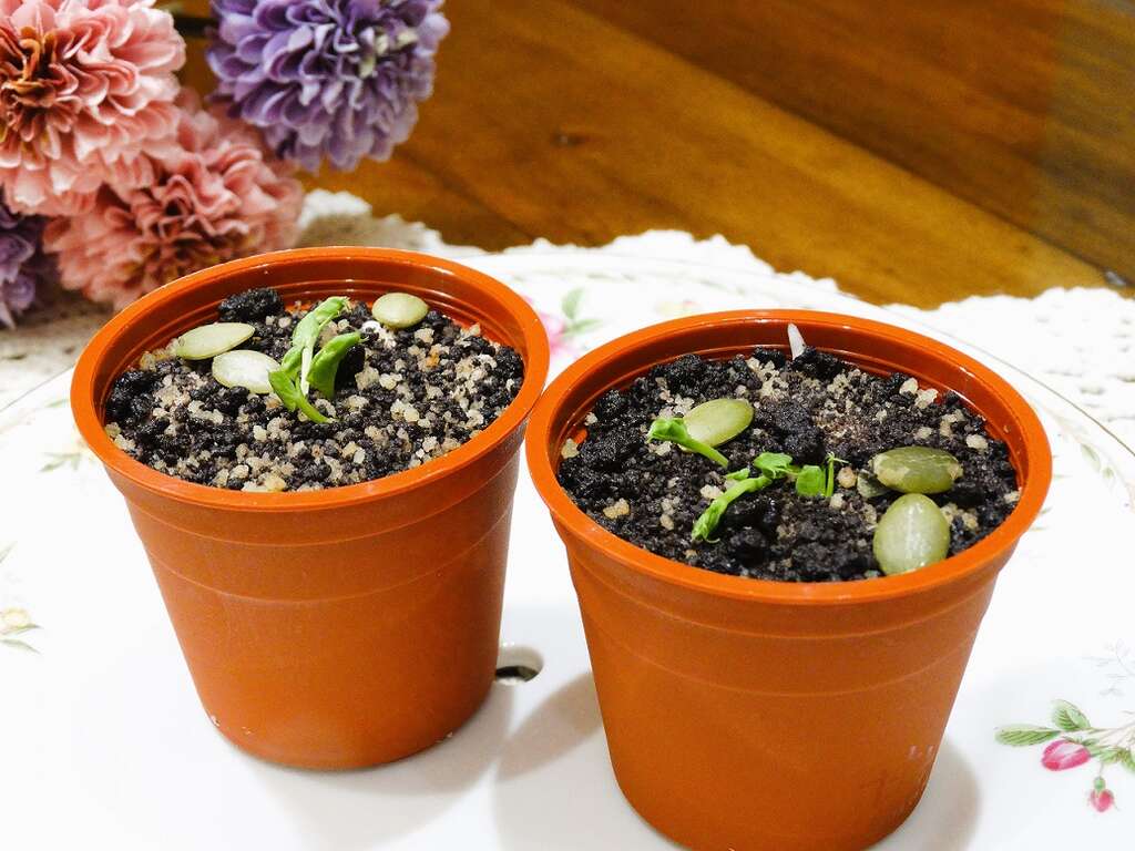 鹹甜引路臺南味」融合臺、日、西式烘焙精髓，「甘本堂」創意混搭，豐富糕餅的意趣