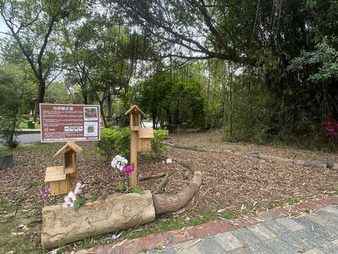 完成後的生态小屋已有鸟类筑巢孵雏