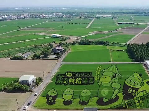 2026台南好米季-菜奇鸭稻阵走_彩绘稻田（後壁区农会提供）