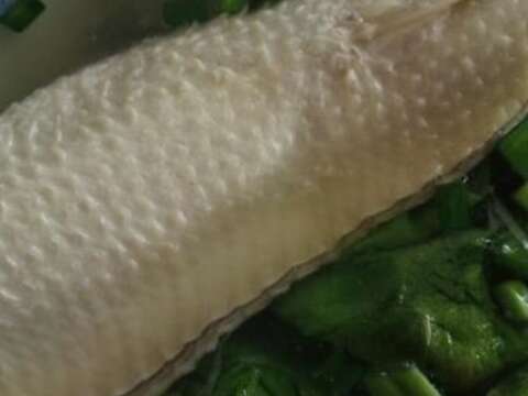 老手的福生和阿和肉燥饭  (「2013台南美食节」 舌尖台南-台南美食图文比赛第八名)