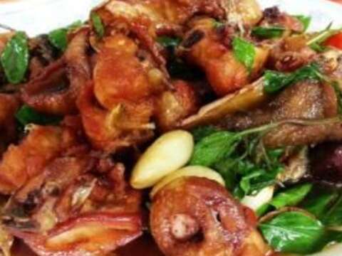 玉井梅岭一日游 (「2013台南美食节」 舌尖台南-台南美食图文比赛第九名)