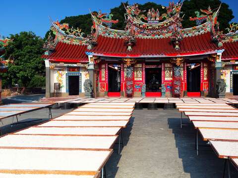 第三名_晒藕粉-杨建南