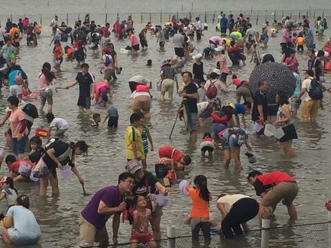 1.觀光赤嘴園挖文蛤趣