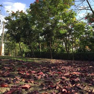 2017虎头埤与春天有约－赏花踏青活动