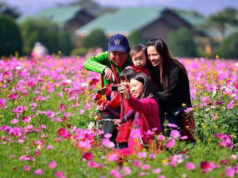 花海游踪「花现‧台南」摄影比赛 十万元奖金等你拿