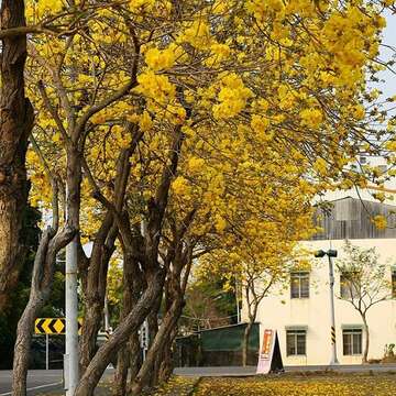 花海遊蹤「花現‧台南」攝影比賽 十萬元獎金等你拿