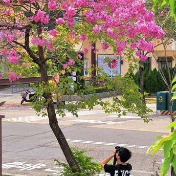 花海遊蹤「花現‧台南」攝影比賽 十萬元獎金等你拿