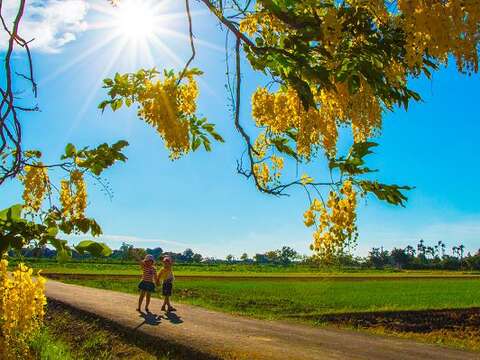 花海遊蹤「花現‧台南」攝影比賽 十萬元獎金等你拿