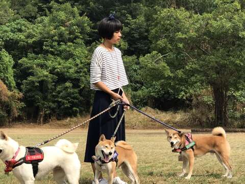 囍八格宠物餐厅