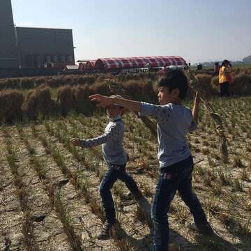 田間運動會-1