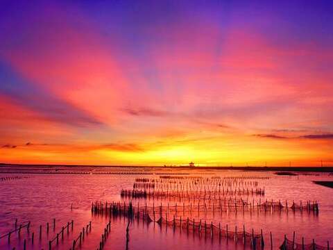 位在台南的七股潟湖，當地人又稱內海仔