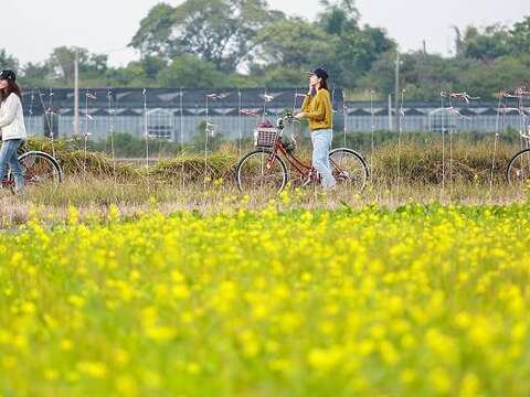 观光T-Bike单车漫游