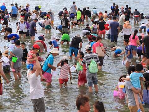 2018海鲜节观光赤嘴活动