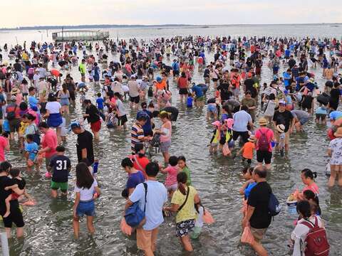 2018海鲜节观光赤嘴活动