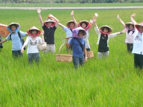 台南在地小旅行-無米樂稻田之美