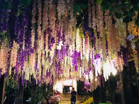 大坑山泉兰花祭