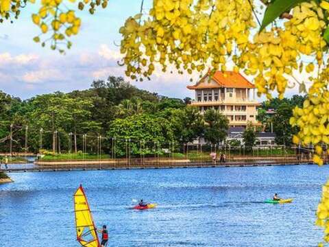 Golden Shower Tree Festival at Hutoubi